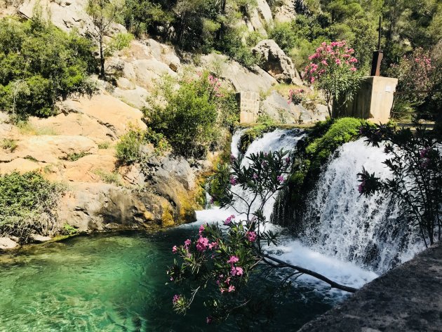 Les fonts de l’Algar