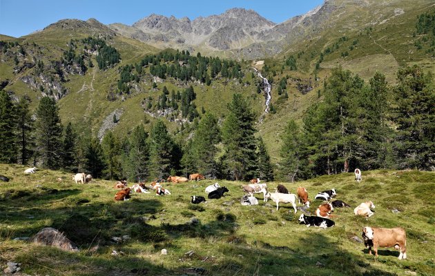 Op weg naar de Lienzerhutte