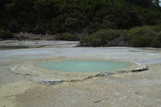 Oyster Pool