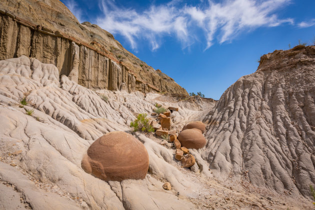 Theodore Roosevelt NP