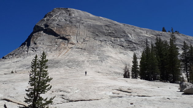 Roadtrip over de Tioga Road