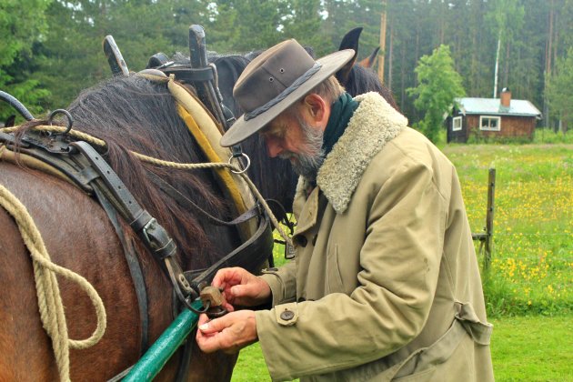 De man en zijn paard