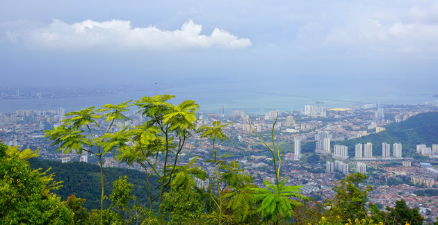 Penang view