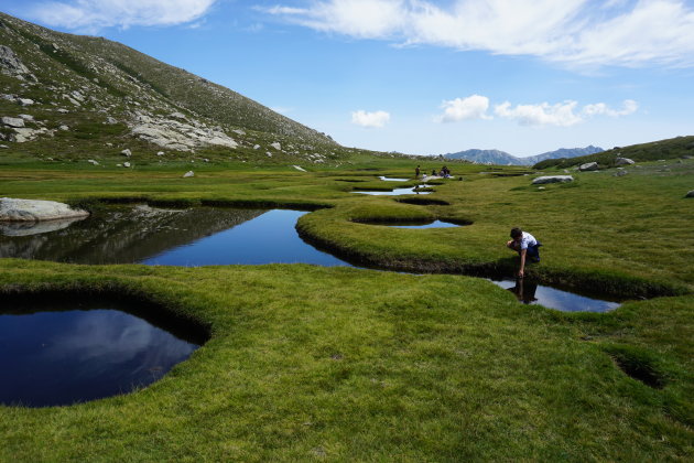 Waterwellen op Corsica