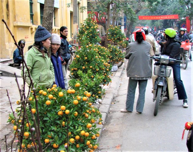 Kerstbomen verkoop in Vietnam.