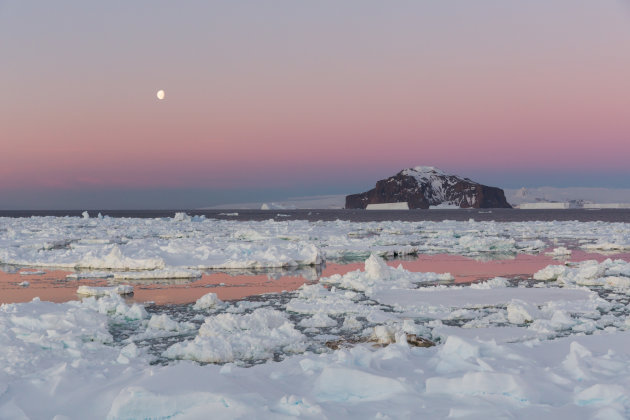 Nieuwjaar vieren in Antarctica