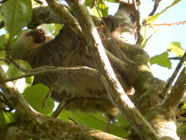 Kleurrijk Costa Rica