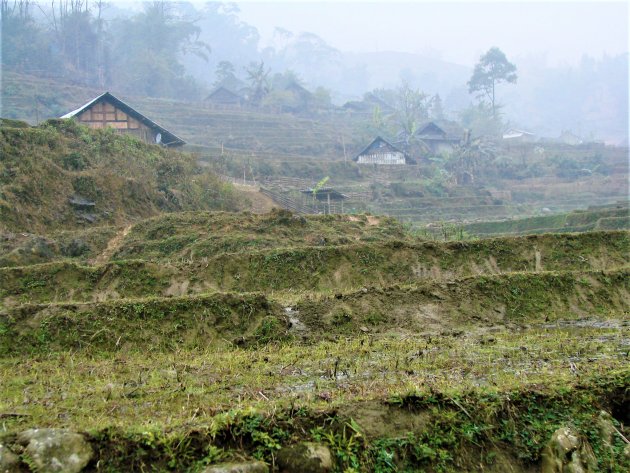 Rijst terrassen in de bergen bij Sapa.