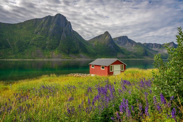 Mooie natuur in Senja