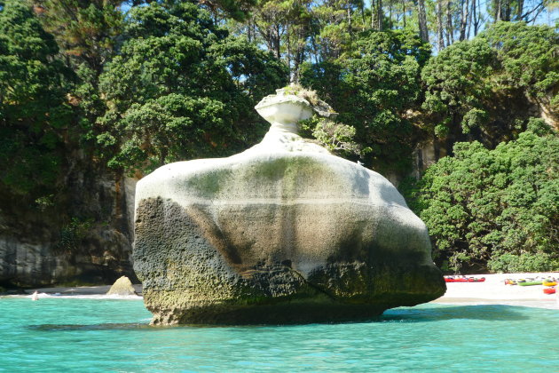 Natuurwonderen van de Coromandel