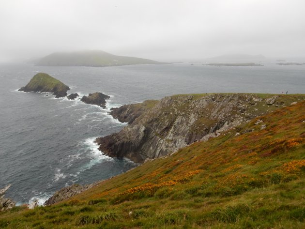 Het geweldige Dingle in Ierland