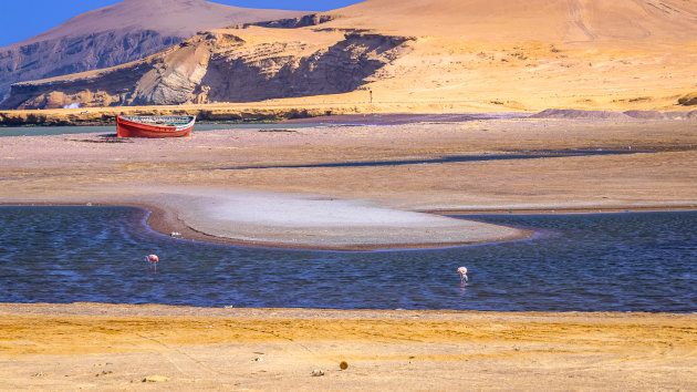 Paracas aan de kust