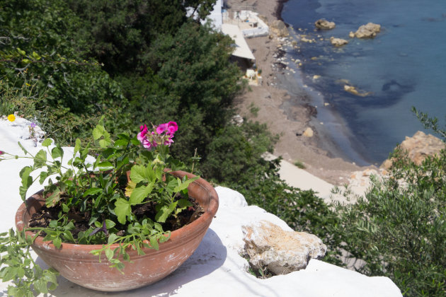 Achter de geraniums