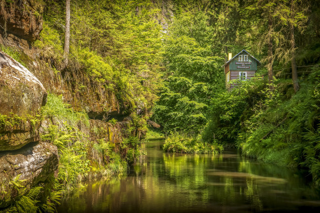 wandelen door de Wilde klamm