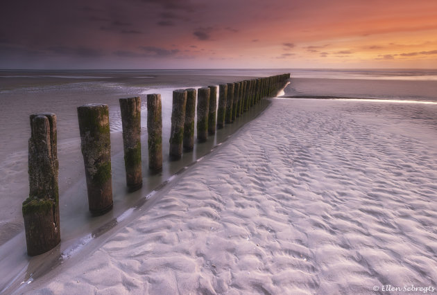 Ode aan Ameland (3)