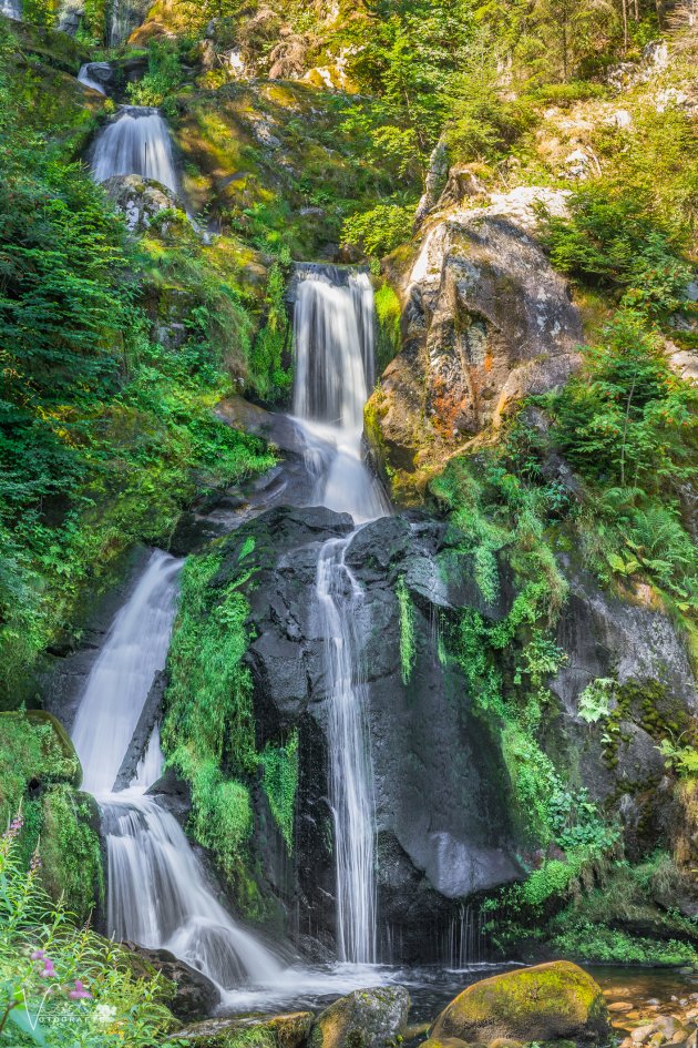 Triberg Waterfalls