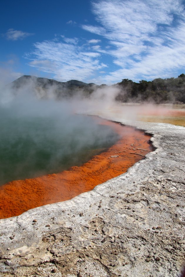 Champagne pool