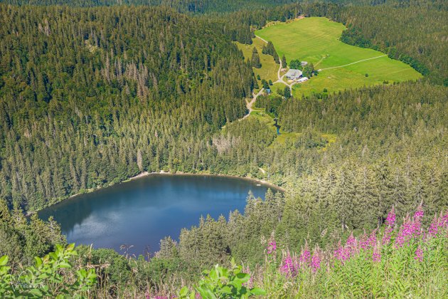 Feldberg