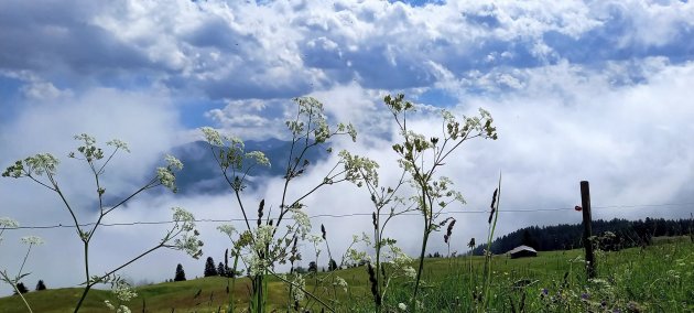 Wolkenlucht