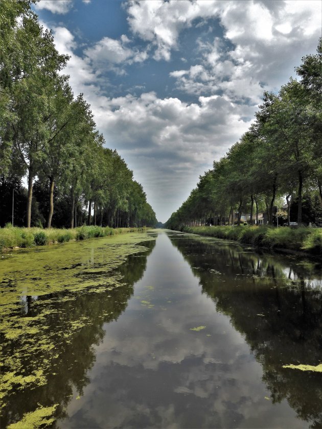 De Damse vaart met majestueuse bomenrij