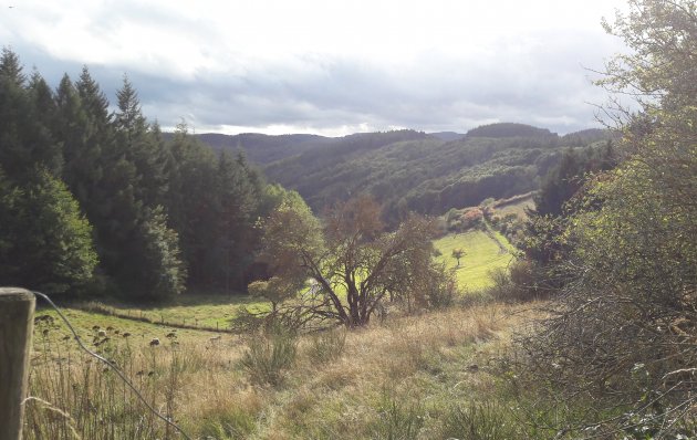 Watersnood in de Eifel