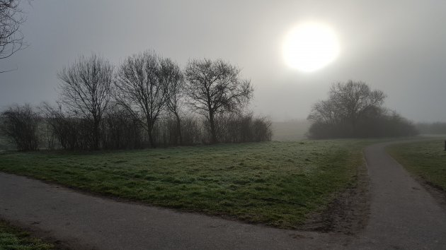 De verstilde natuur tijdens een ochtendwandeling