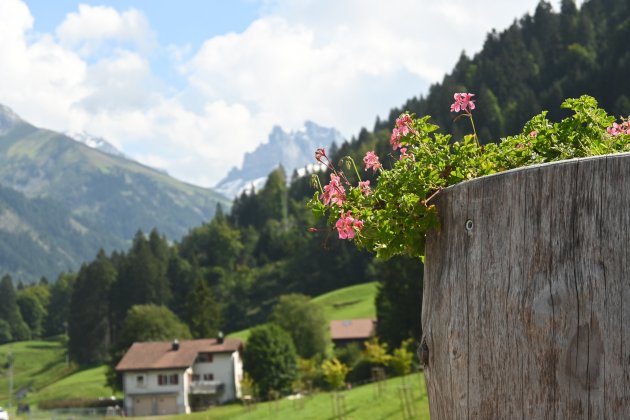 Kleurrijk Zwitserland