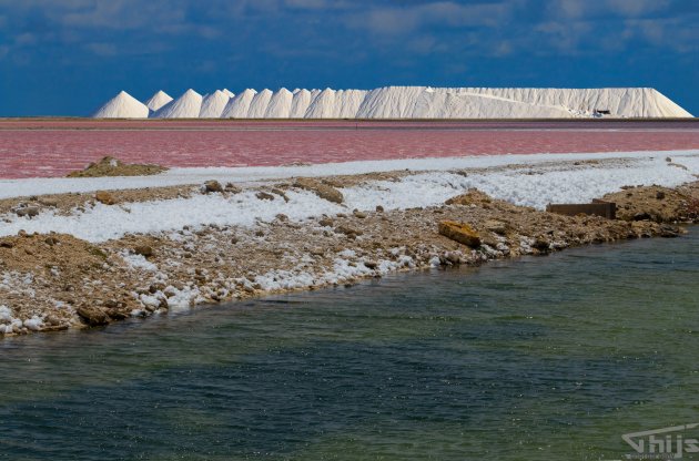 Naast de onderwaterwereld heeft Bonaire nog veel meer moois