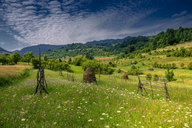 Maramures