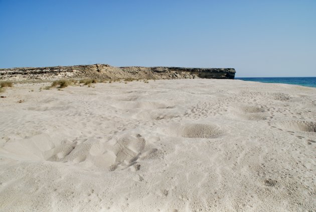 Sporen van schildpadden op het strand