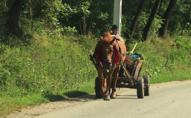 Typisch Maramures