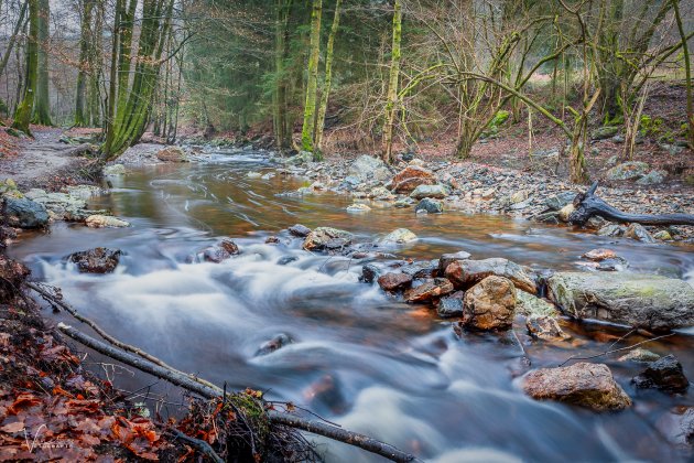 La Hoëgne de Rivier