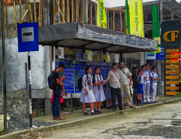 Bushalte op Sri Lanka