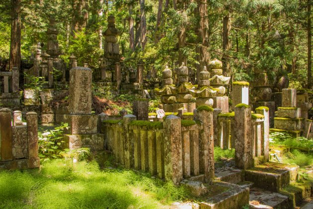 Begraafplaats op Mount Koya