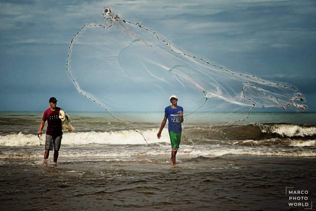 Verse vis uit de zee