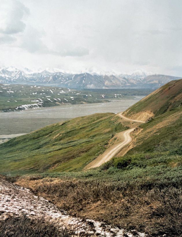 Denali National Park