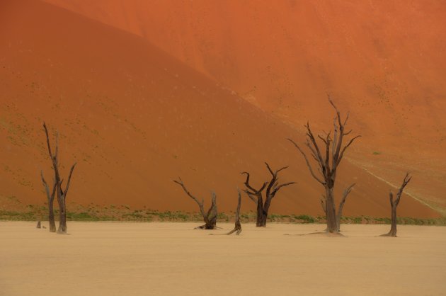 leven in de Deadvlei