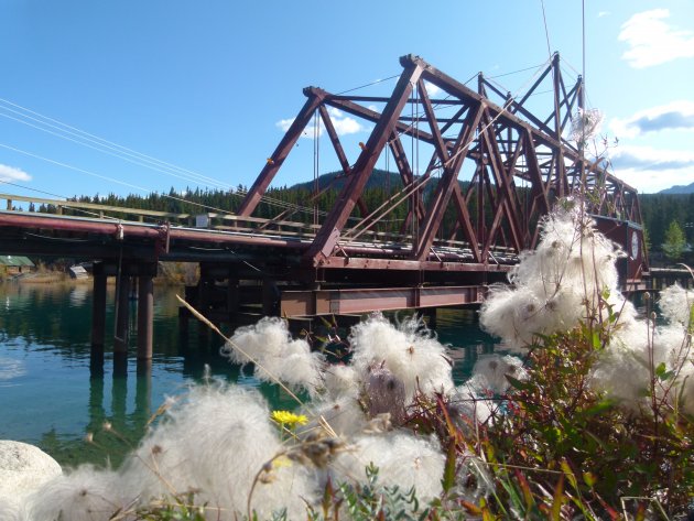 Oude spoorbrug bij Carcross