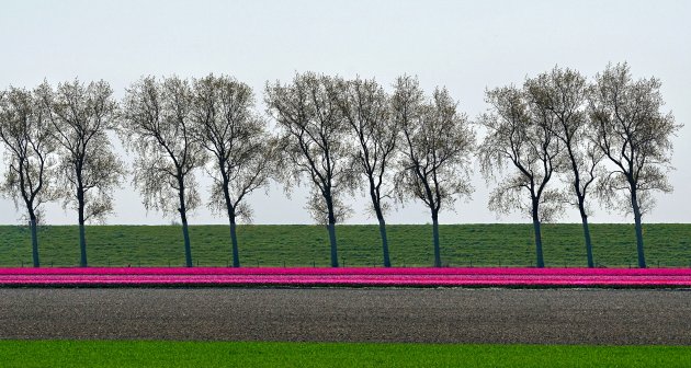 Strak landschap op Flakkee