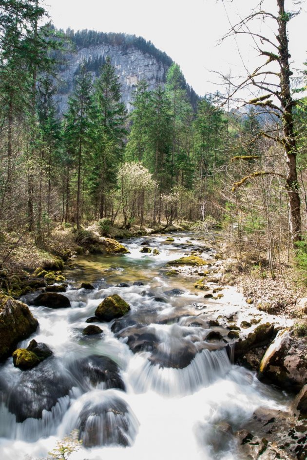 Romantic painter's spot op weg naar de Waldbachstrub waterval