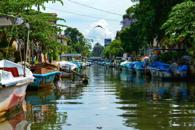 Kanalen van Negombo