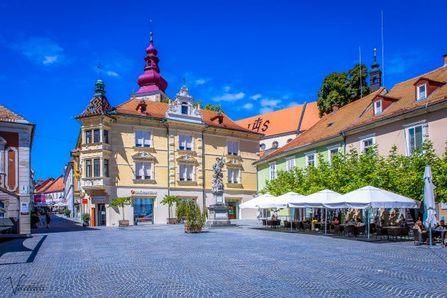 Een heerlijk plein in Ptuj