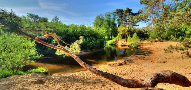 Wandelen langs en in de Dinkel