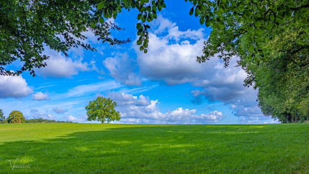 Landschap Sint Jansberg