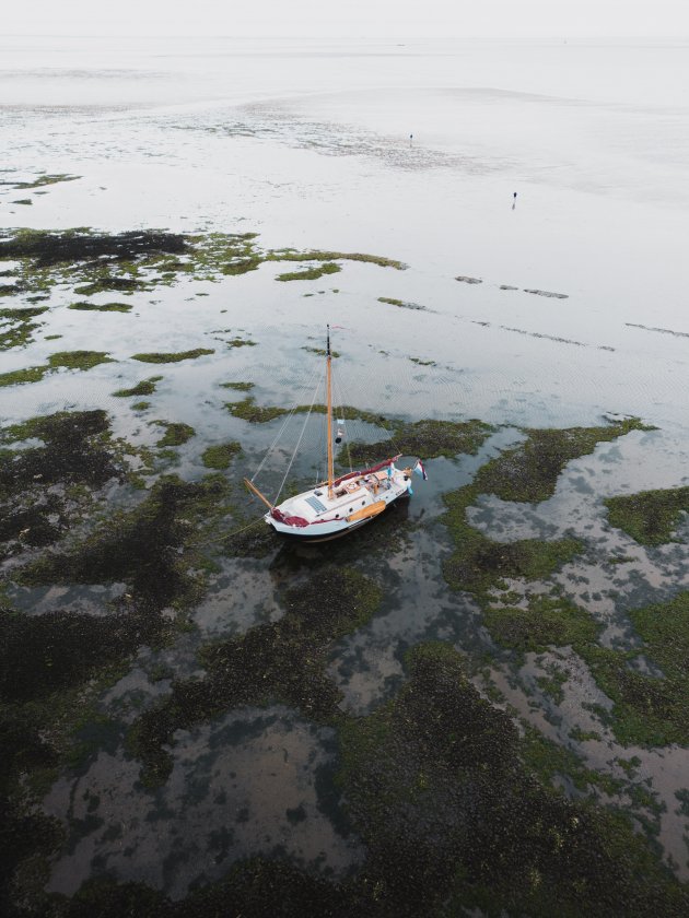 Droogvallen op de wadden: een must!