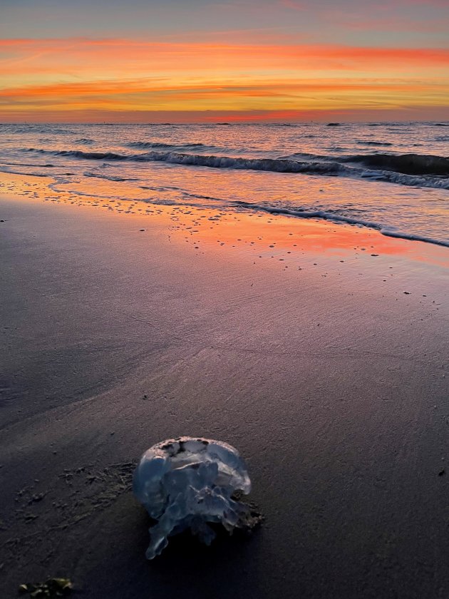 Zonsondergang op Vlieland