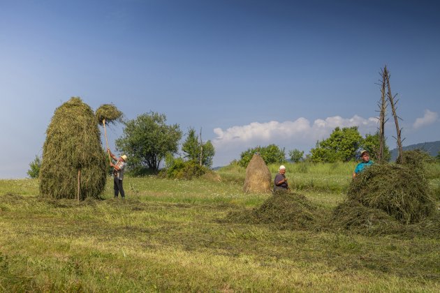 Werken op het land