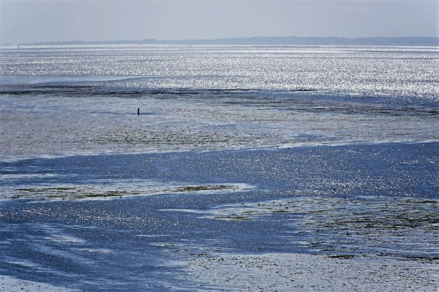 Kleurenpallet van de Waddenzee