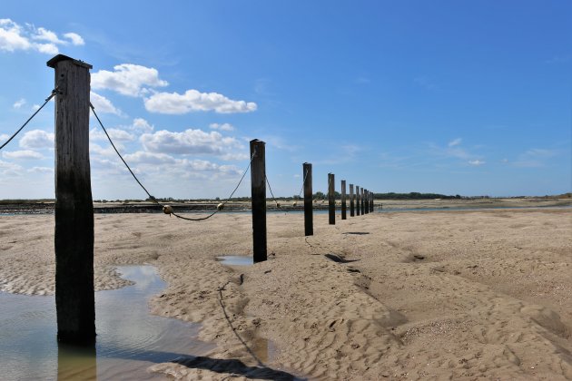 Het Zwin bij Cadzand