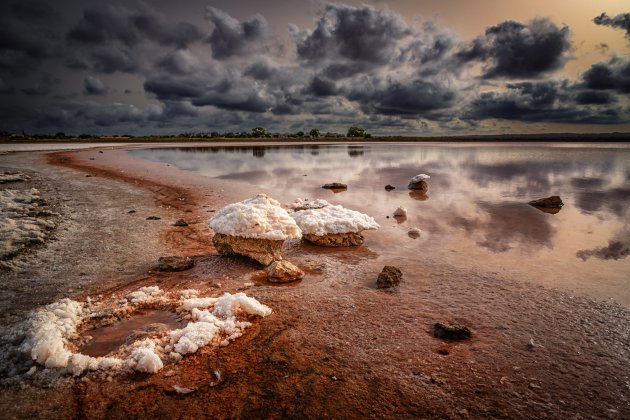 Laguna niet zo rosa